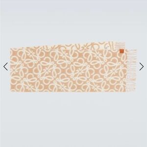 Loewe inspired scarf